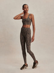 Brown Contrast Cheetah