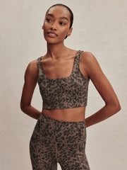 Brown Contrast Cheetah